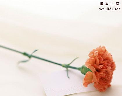 美图秀秀感恩母亲节对老妈说出你的爱