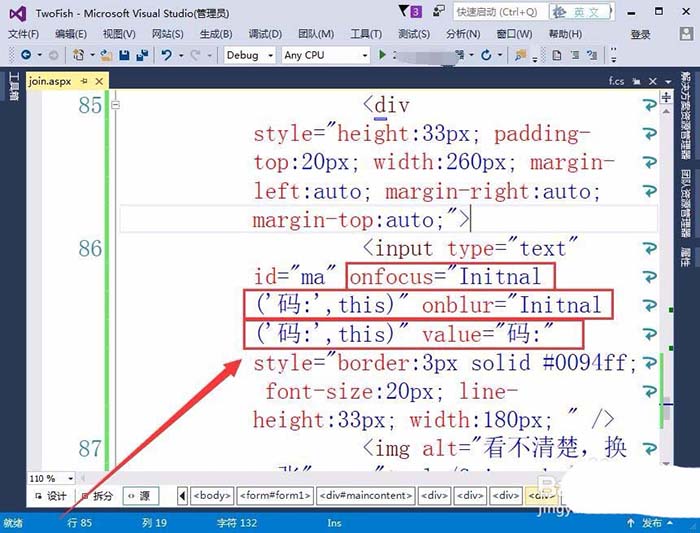 VisualStudio网页怎么插入验证码标签?