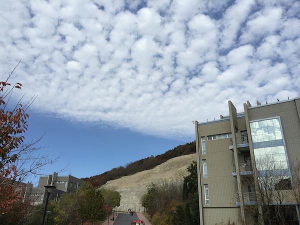 camera+怎么样？Camera+ App IOS版功能和特色介绍
