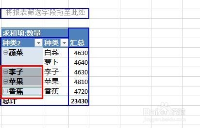Excel2013数据透视表字段分组图文步骤