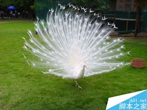 word文档怎么从从任意页开始设置页码为起始页?