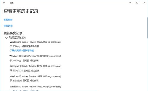 Win10 19608快速预览版怎么手动更新?