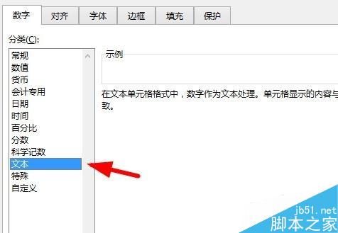 怎么在Excel单元格中数字前加0并显示?