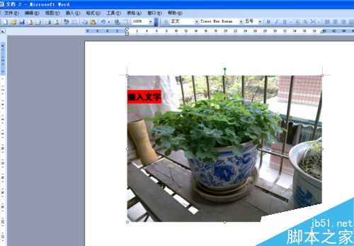 word文档怎么在图片上写字呢?