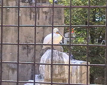 数码摄像中级技巧－对焦技术