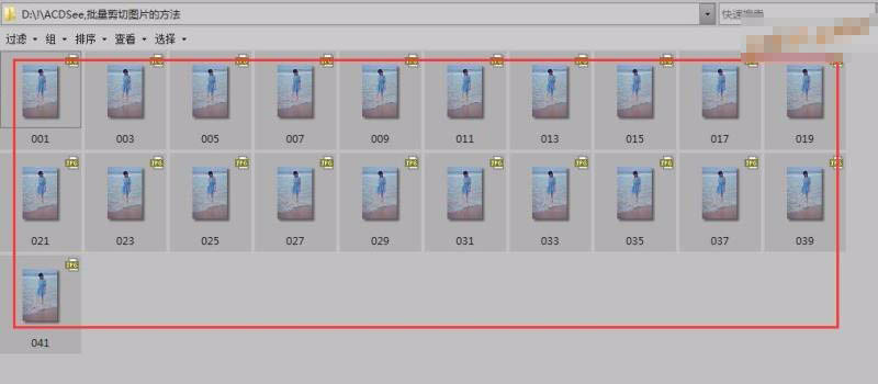 ACDSee Pro 6.0批量裁剪/批量剪切图片教程
