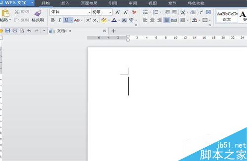 在Word(WPS)中怎么添加文字下划线并进行设置?