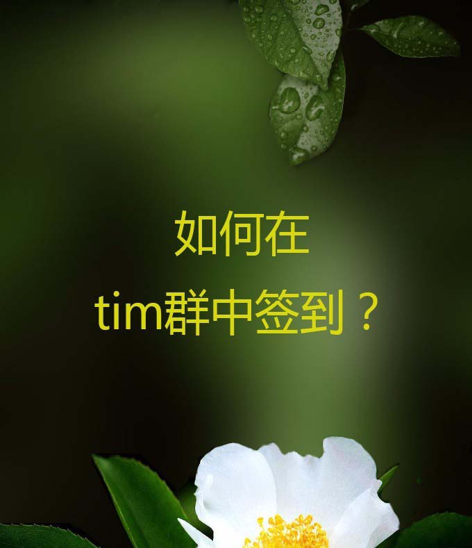 tim群怎么签到? tim签到的教程