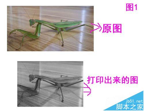 打印机打印图片不完整总是缺一部分该怎么办?