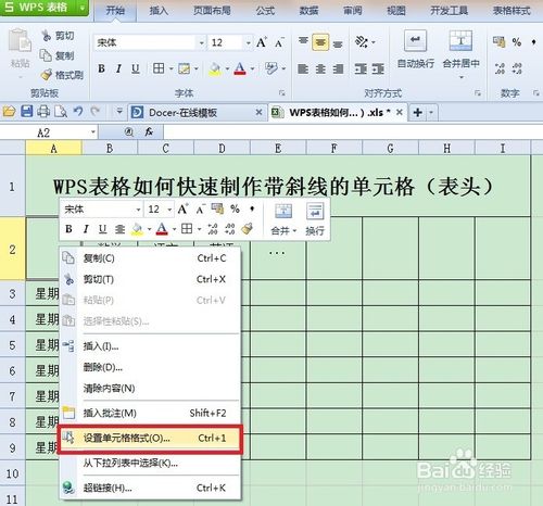 在WPS表格中快速制作带斜线的表头(单元格)