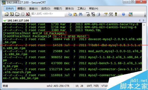 Linux系统下挂载光盘的教程
