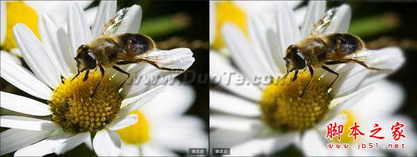 好用的摄影后期软件 模拟浅景深的好照片