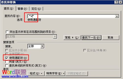 如何在Word2003中使用通配符进行模糊替换