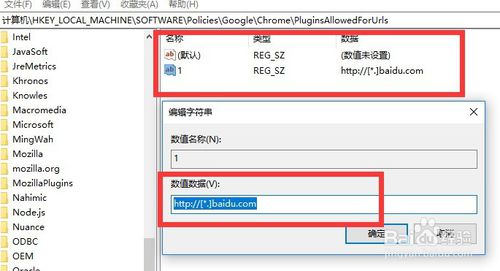 解决Google浏览器Chrome永久开启flash支持的办法