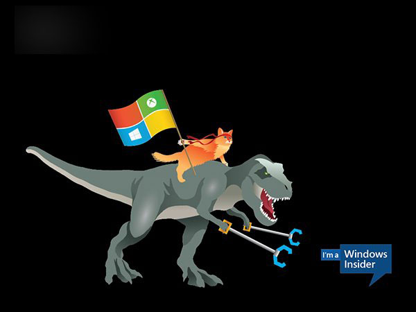 微软Win10 Insider壁纸下载：骑独角鲸、恐龙的忍者猫壁纸