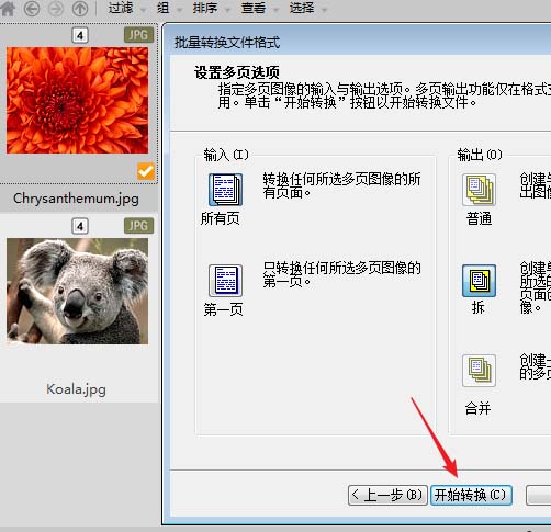 acdsee怎么怎么批量压缩图片大小?