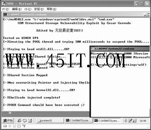 利用漏洞提升计算机控制权限