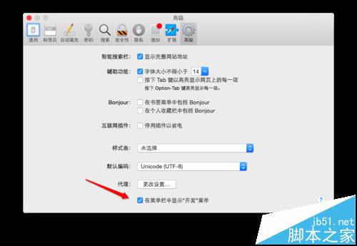 MAC系统中怎么开启Safari开发者模式?