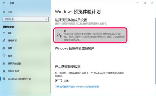 Win10 19551快速预览版怎么手动更新？