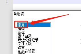 Notepad文件列表面板怎么显示? Notepad打开面板的技巧