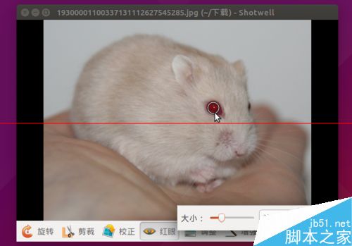 Ubuntu系统用自带的shotwell软件简单编辑照片的教程