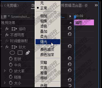 premiere猫咪的眼睛怎么放大和增亮?