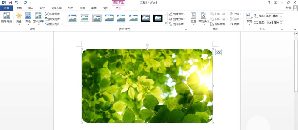 Word怎么制作圆角效果? word圆角矩形的制作方法