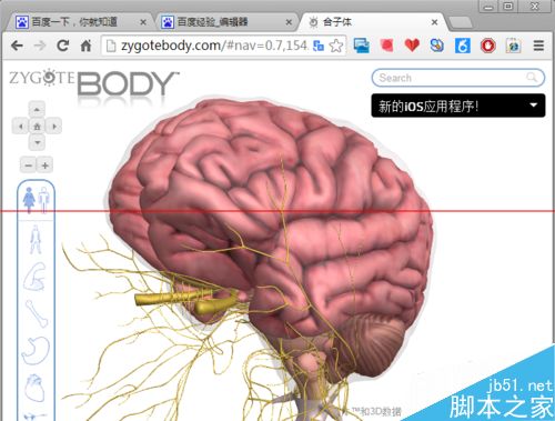 人体浏览器是什么？谷歌人体浏览器的使用方法