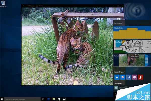 Win10神来之笔Windows Ink(便签)上手试玩视频