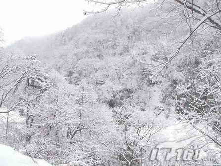 详解液晶屏参数概念误区