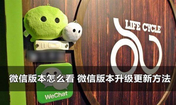微信版本怎么看 微信版本升级更新至最新版本方法介绍