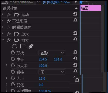 premiere猫咪的眼睛怎么放大和增亮?