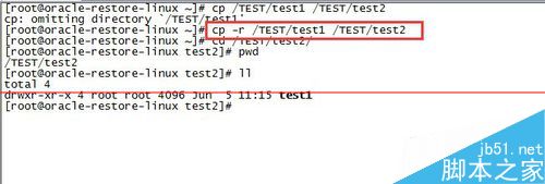 Linux系统使用cp命令报错cp:omitting directory怎么办？