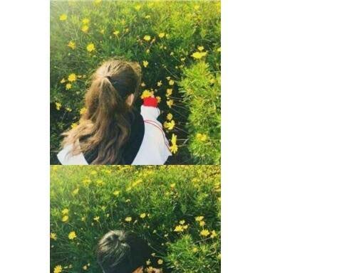 微信公众号怎么让两张图片无缝隙显示?