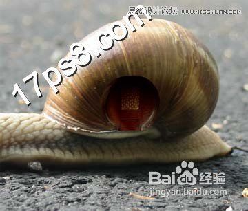 Ps设计可爱风格的蜗牛城堡教程