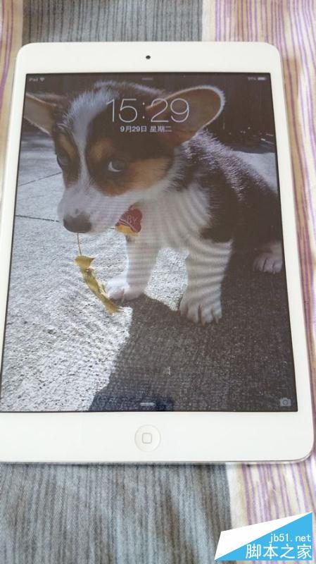 如何为iPadmini更换坏了的显示屏(内屏、液晶屏)?