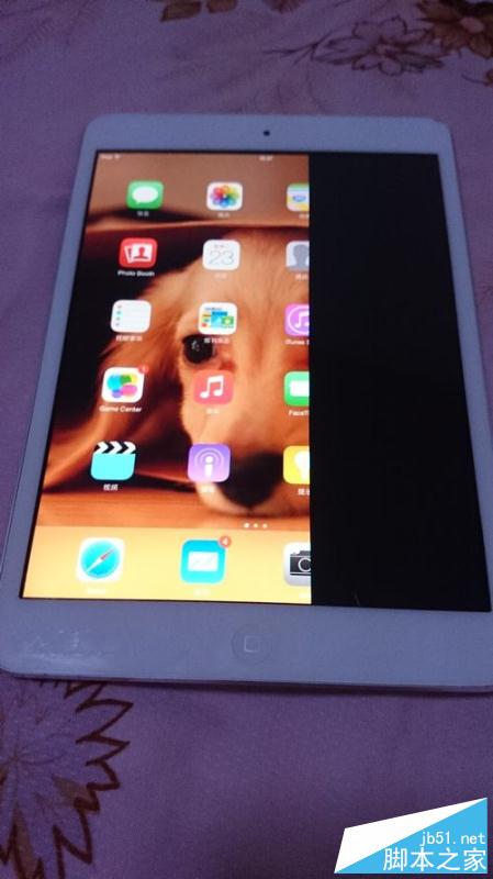 如何为iPadmini更换坏了的显示屏(内屏、液晶屏)?