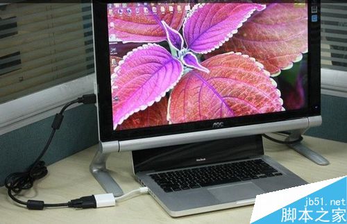 电脑显示器上出现检测信号线应该怎么解决?