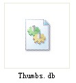 Thumbs.db是什么文件是病毒吗？处理的方法？