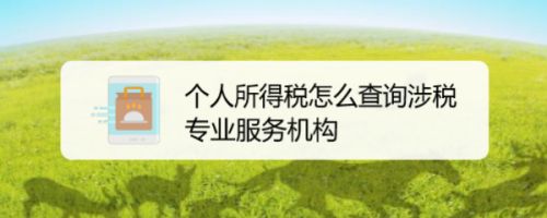 个人所得税app涉税专业服务机构怎么查?