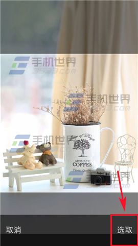 喵喵微店的店铺头像怎么修改?