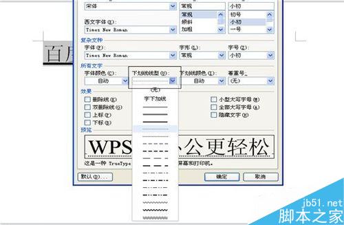 在Word(WPS)中怎么添加文字下划线并进行设置?