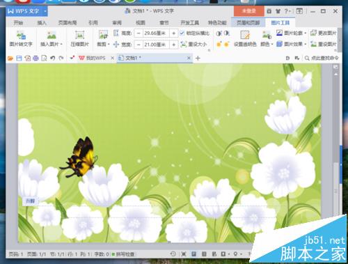 WPS怎么制作精美的信纸? wps信纸的设计教程
