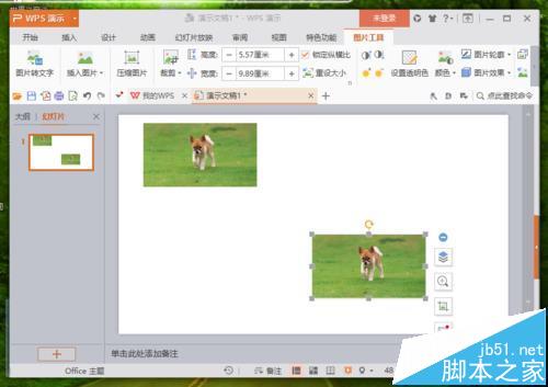 WPS中的图片怎么改变形状?
