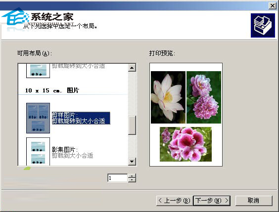 WinXP使用图片和传真查看器功能在一张纸上打印多幅图片