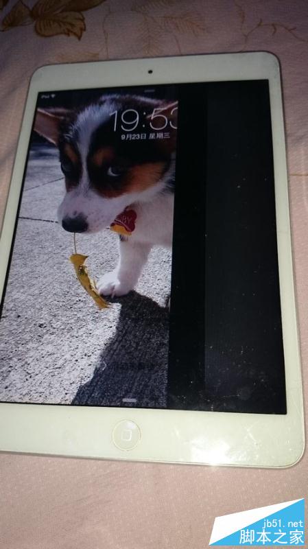 如何为iPadmini更换坏了的显示屏(内屏、液晶屏)?