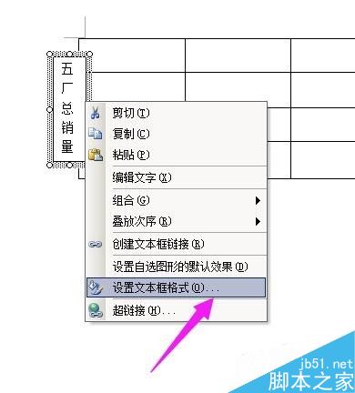 在word表格右侧或左侧如何输入竖排的文字?