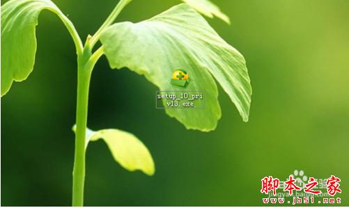 360安全卫士10怎么下载安装？怎么领取360卫士10体验码