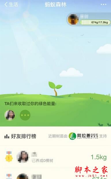 支付宝怎么获得绿色能量 支付宝蚂蚁森林收集绿色能量方法