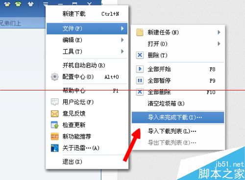 怎么把下载一半的文件导入到迅雷里？